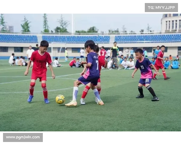 青少年足球注册人数创历史新高 U18组突破3000人迎来新纪元